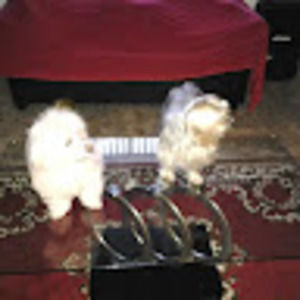 Meet your Posher, Javier